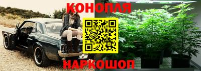 соль ск Партизанск