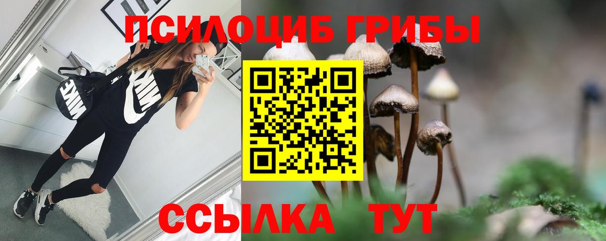 Галлюциногенные грибы мицелий Пугачёв